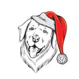 Perro de Labrador en el sombrero de Papá Noel stock de ilustración Perro de Labrador en el sombrero de Papá Noel stock de ilustración