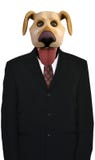 Perro de los asuntos divertidos, ventas, comercializando imagen de archivo Perro de los asuntos divertidos, ventas, comercializando imagen de archivo