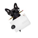 Perro de los posts del reparto del correo imagen de archivo libre de regalías Perro de los posts del reparto del correo imagen de archivo libre de regalías