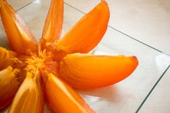Persimmon Тhe κόβεται στις φέτες σε ένα πιάτο, φρούτα, υγιή τρόφιμα, βιταμίνες στοκ φωτογραφίες με δικαίωμα ελεύθερης χρήσης Persimmon Тhe κόβεται στις φέτες σε ένα πιάτο, φρούτα, υγιή τρόφιμα, βιταμίνες στοκ φωτογραφίες με δικαίωμα ελεύθερης χρήσης
