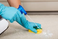 Person Cleaning Carpet With Detergent-Nevelfles royalty-vrije stock afbeeldingen Person Cleaning Carpet With Detergent-Nevelfles royalty-vrije stock afbeeldingen