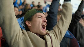 Person sport hockey joy goal win close up fan emotion scream crowd arena 4K.