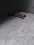 Person Wearing Grey Hoodie and Black Jeans Laying on Floor Stock Photo Person Wearing Grey Hoodie and Black Jeans Laying on Floor Stock Photo