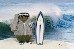 Persona que practica surf del aguacate Persona que practica surf del aguacate