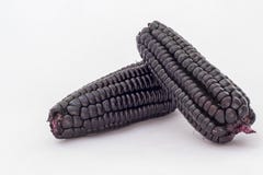 Peruanska lilor konserverar (maizmoradoen), som är främst van vid förbereder fruktsaft kallad chichamorada arkivfoto Peruanska lilor konserverar (maizmoradoen), som är främst van vid förbereder fruktsaft kallad chichamorada arkivfoto