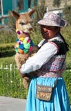 Peruvian woman portrait carrying small baby lama