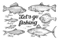 La pesca del vídeo sobre la pesca en serio
