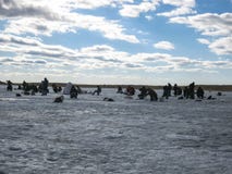 Pesca sul ghiaccio degli sport invernali fotografia stock libera da diritti Pesca sul ghiaccio degli sport invernali fotografia stock libera da diritti