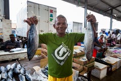 Pescador, vendedor dos peixes Mercado de peixes em Hong Kong foto de stock royalty free Pescador, vendedor dos peixes Mercado de peixes em Hong Kong foto de stock royalty free