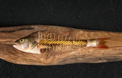 Pescados abstractos de las pastas en el tablero de madera imagenes de archivo Pescados abstractos de las pastas en el tablero de madera imagenes de archivo