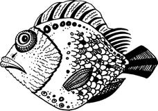 Pescados ornamentales blancos y negros ilustración del vector Pescados ornamentales blancos y negros ilustración del vector