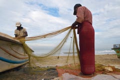 Pescatori che raccolgono pesce fotografie stock libere da diritti Pescatori che raccolgono pesce fotografie stock libere da diritti