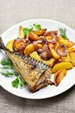 Pesce e patata fritti dello sgombro immagine stock Pesce e patata fritti dello sgombro immagine stock
