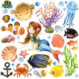 Pesce esotico, barriera corallina royalty illustrazione gratis Pesce esotico, barriera corallina royalty illustrazione gratis