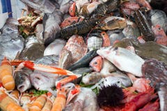 Pesce immagine stock libera da diritti Pesce immagine stock libera da diritti