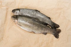 Pesce purificato sulla carta del mestiere La trota iridea ha sventrato fotografia stock libera da diritti Pesce purificato sulla carta del mestiere La trota iridea ha sventrato fotografia stock libera da diritti