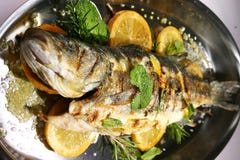 Pesci immagine stock Pesci immagine stock