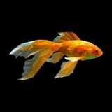 Pesci dell'oro pesce astratto di vettore del poligono, oro, coda, animale, acquario, royalty illustrazione gratis Pesci dell'oro pesce astratto di vettore del poligono, oro, coda, animale, acquario, royalty illustrazione gratis