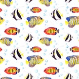 Pesci tropicali Ripetizione del modello senza cuciture watercolor illustrazione di stock Pesci tropicali Ripetizione del modello senza cuciture watercolor illustrazione di stock
