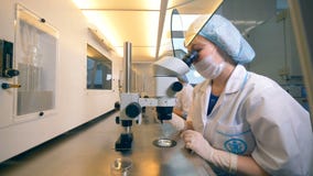 Pesquisador profissional fêmea, cientista que faz experiências no laboratório vídeos de arquivo Pesquisador profissional fêmea, cientista que faz experiências no laboratório vídeos de arquivo