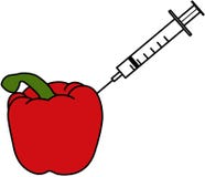 Pesticides - une seringue collant dans un poivron rouge illustration libre de droits Pesticides - une seringue collant dans un poivron rouge illustration libre de droits