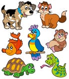 Pet cartoons collection