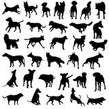 Pet dogs silhouette vector collection
