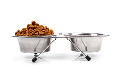 Pet Food Bowl On White Royalty Free Stock Image
