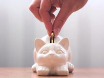 Pet penny bank stock photos Pet penny bank stock photos