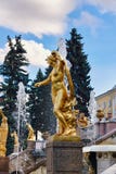 Peterhof, Rusland - Augustus 15, 2008: Mening van het Grote Peterhof-Paleis, met fonteinen en gouden standbeelden stock afbeelding Peterhof, Rusland - Augustus 15, 2008: Mening van het Grote Peterhof-Paleis, met fonteinen en gouden standbeelden stock afbeelding