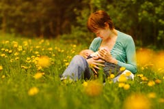 Petit allaitement au sein de bébé Images stock Petit allaitement au sein de bébé Images stock