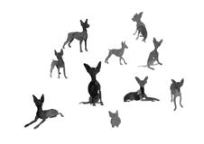 Petit chien dans différentes poses illustration de vecteur Petit chien dans différentes poses illustration de vecteur