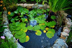 Petit, en forme de coeur lac dans la cour des grands-parents du pays images libres de droits Petit, en forme de coeur lac dans la cour des grands-parents du pays images libres de droits
