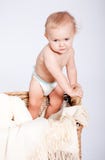 Petit enfant en bas âge mignon de chéri dans le panier avec le nounours photos stock Petit enfant en bas âge mignon de chéri dans le panier avec le nounours photos stock