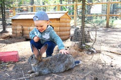 Petit garçon heureux et souriant frottant un lapin photos libres de droits Petit garçon heureux et souriant frottant un lapin photos libres de droits
