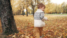 Petit garçon mignon drôle heureux courant au-dessus des feuilles tombées par l'allée étonnante d'automne dans le mouvement lent d banque de vidéos Petit garçon mignon drôle heureux courant au-dessus des feuilles tombées par l'allée étonnante d'automne dans le mouvement lent d banque de vidéos
