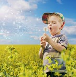 Petit homme mignon ayant l'amusement avec des pissenlits photographie stock libre de droits Petit homme mignon ayant l'amusement avec des pissenlits photographie stock libre de droits