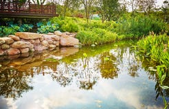 Petit paysage d'étang de jardin photo stock Petit paysage d'étang de jardin photo stock