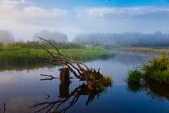 Petite rivière courbant les prés verts au lever de soleil Paysage d'ÉTÉ photos stock Petite rivière courbant les prés verts au lever de soleil Paysage d'ÉTÉ photos stock