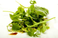 Petite salade d'herbe. photographie stock Petite salade d'herbe. photographie stock