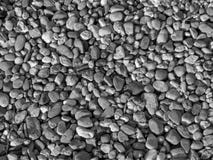 Petites pierres de mer de rivière Fond d'été pierre noire et blanche de caillou matrerial Image stock Petites pierres de mer de rivière Fond d'été pierre noire et blanche de caillou matrerial Image stock