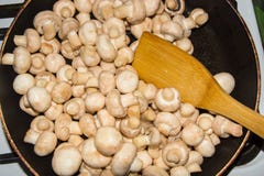 Petits champignons frits dans une casserole dans son ensemble Champignons frits aux oignons image libre de droits Petits champignons frits dans une casserole dans son ensemble Champignons frits aux oignons image libre de droits