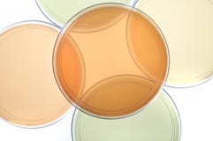 Petri dishes for medical resea