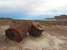 Petrified wood logs Petrified Forest National Park, Arizona, USA Stock Photo Petrified wood logs Petrified Forest National Park, Arizona, USA Stock Photo