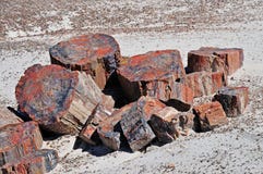 Petrified Wood Texture Royalty Free Stock Photo Petrified Wood Texture Royalty Free Stock Photo
