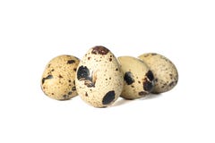 Peu d'oeufs de caille crus images stock Peu d'oeufs de caille crus images stock