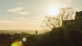 Peça velha do panorama da árvore ensolarada da noite do outono de Paris sem folhas video estoque Peça velha do panorama da árvore ensolarada da noite do outono de Paris sem folhas video estoque