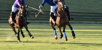 Pferde-Polo Player-Kampf lizenzfreie stockfotos Pferde-Polo Player-Kampf lizenzfreie stockfotos