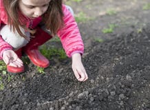 Pflanzen im Garten - Hände, halten Samen Fruchtbarer Boden eines Hochbeetgartens für eine Frühlingsernte grüne Welt des Konzeptes stockbilder Pflanzen im Garten - Hände, halten Samen Fruchtbarer Boden eines Hochbeetgartens für eine Frühlingsernte grüne Welt des Konzeptes stockbilder