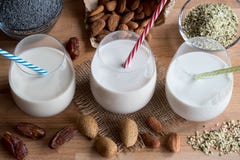 Pflanzenmilch des strengen Vegetariers - Mandelmilch, Mohnmilch und Hanfsamen m Lizenzfreie Stockfotos Pflanzenmilch des strengen Vegetariers - Mandelmilch, Mohnmilch und Hanfsamen m Lizenzfreie Stockfotos